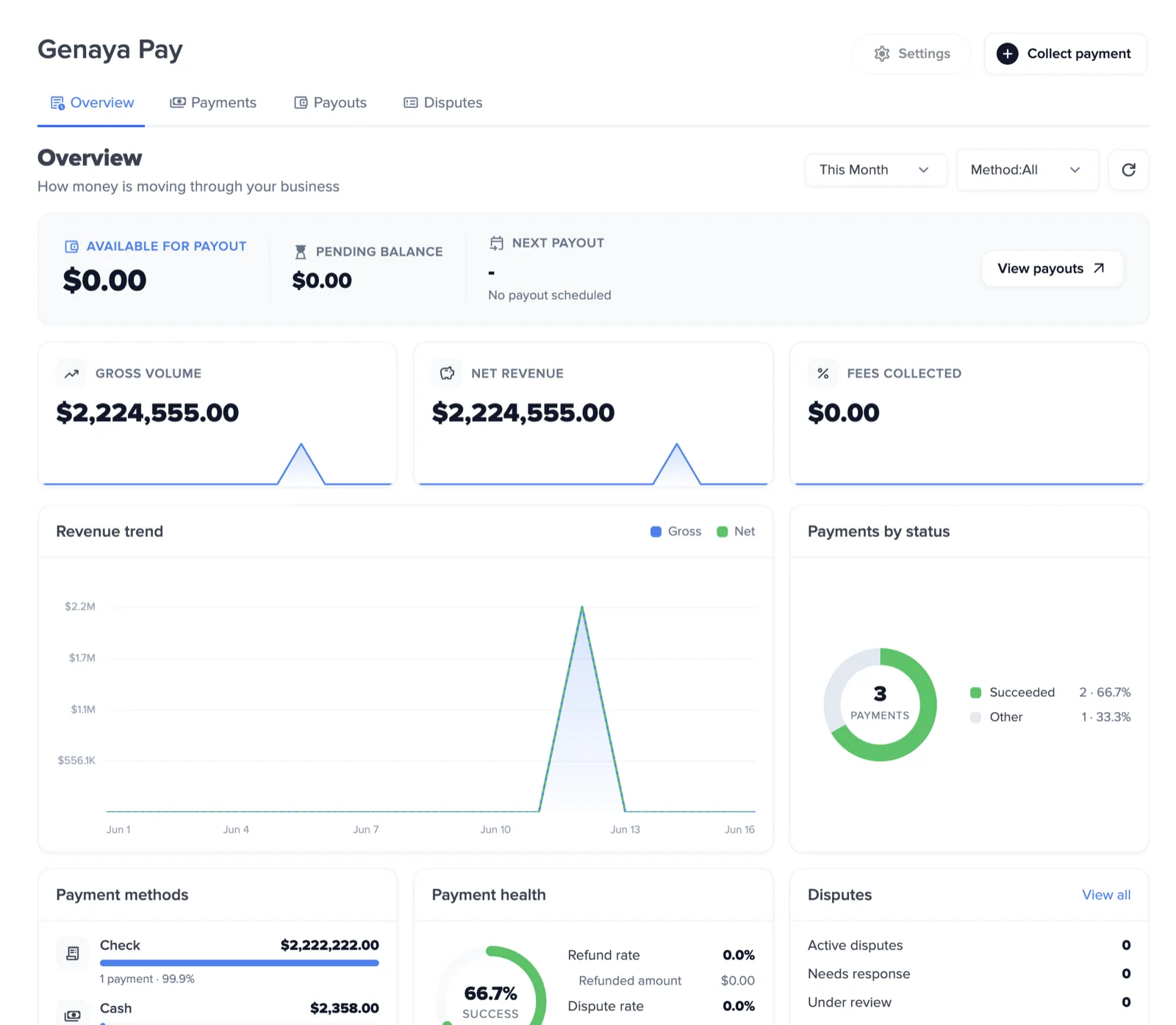Genaya Pay dashboard